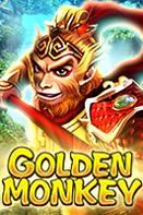 Golden-Monkey